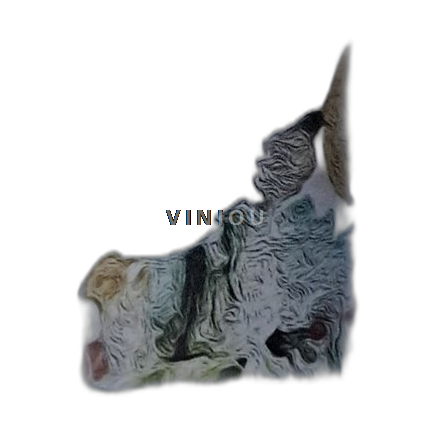 Beaujolais Brouilly Domaine Les Sauvageons Biosophiste 2023