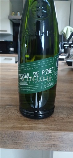 Languedoc Picpoul-de-pinet La Petite Perle 2024