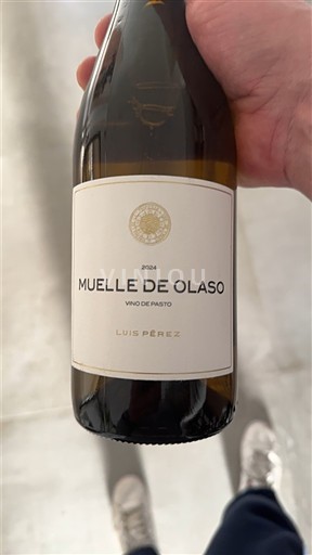 Andalusia Không được chỉ định Luis Pérez Muelle de Olaso 2024