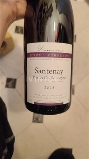 Bourgogne Santenay Premier Cru Domaine Jérôme Fornerot Premier Cru Beauregard 2023