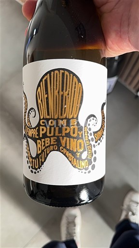 Castille và León Không được chỉ định Bienbebido Pulpo 2024