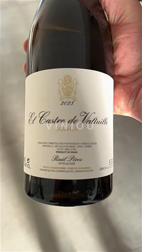 Castille et León Bierzo El Castro de Valtuille Godello 2023