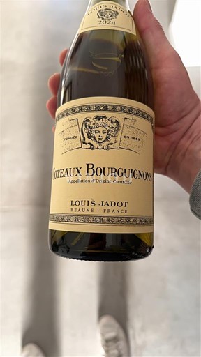 Bourgogne Coteaux bourguignons Louis Jadot 2024