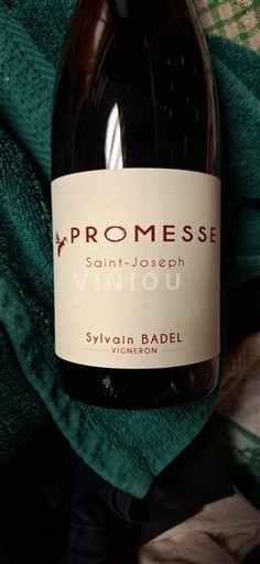 Vallée du Rhône Saint-Joseph Sylvain Badel Promesse Non Millésimé