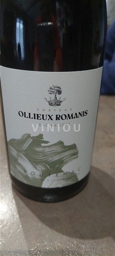 Languedoc Corbières Château Ollieux Romanis Racine 2022