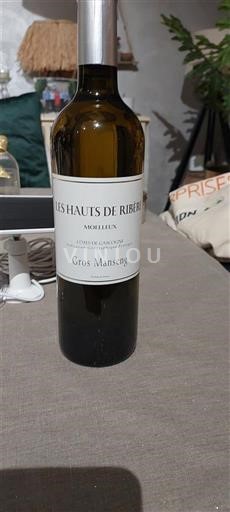 Sudoeste Côtes de Gascogne Les Hauts de Riberon Não Sazonado