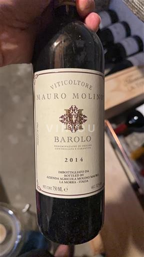 Piemonte Barolo Mauro Molino 2014