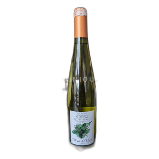 Languedoc-Roussillon Côtes du Brian Plaisir de Vigne 2023