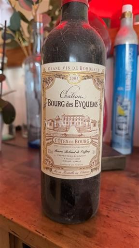 Bordeaux Côtes-de-bourg Château Bourg des Eyquems 2005