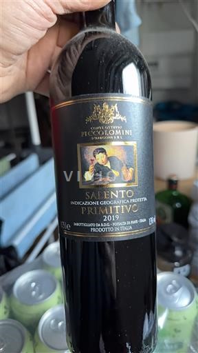 Puglia Salento Conti Ottavio Piccolomini 2019