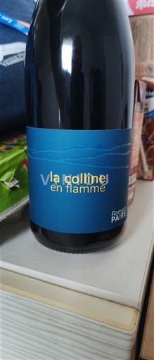 Thung lũng sông Loire Không được chỉ định Domaine Robinot La Colline en Flamme 2024