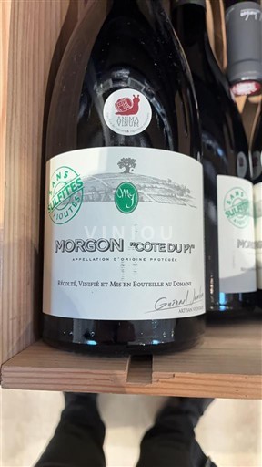 Beaujolais Morgon Domaine Mee Godard Côte du Py 2021