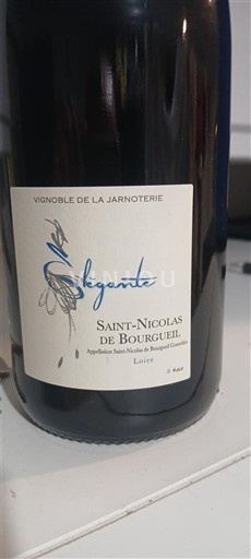 Loire Valley Saint-Nicolas-De-Bourgueil Vignoble de la Jarnoterie Séguente Non-Vintage