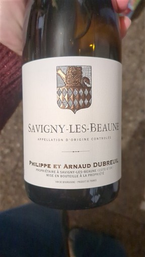 Bourgogne Savigny-lès-beaune Philippe et Arnaud Dubreuil 2024