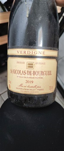 Loire Valley Saint-Nicolas-De-Bourgueil Verdigné 2019