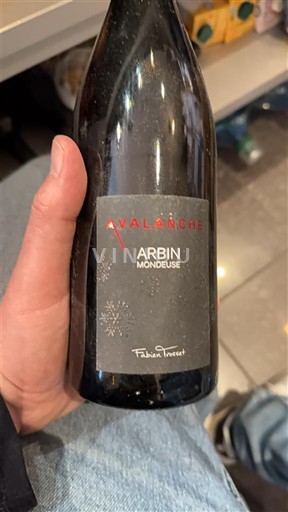 Jura Arbois Fabien Trosset Avalanche 2022