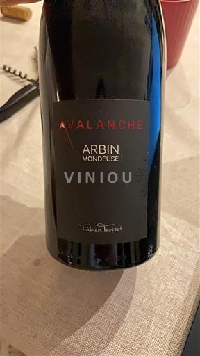 Žura Арбуа Fabien Trosset Avalanche 2022