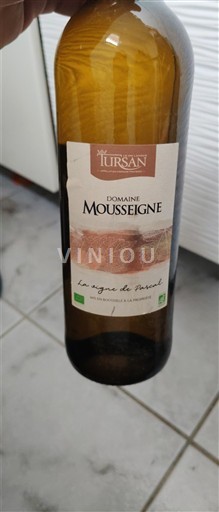 Sudoeste Tursan Domaine Mousseigne La vigne de Parent Sin añada