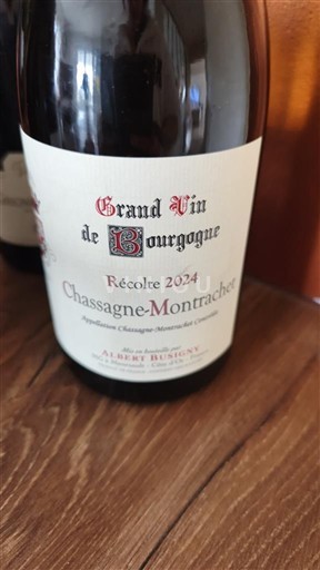 Borgonha Chassagne-Montrachet Albert Bichot 2024
