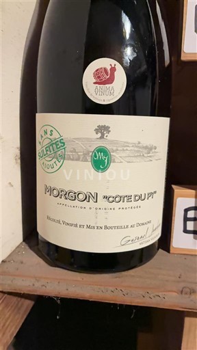 Beaujolais Morgon Domaine S roches du Py, Guénael Jambon Côte du Py 2021