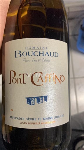 Valle del Loira No especificado Domaine Bouchaud Pont Camino Sin añada