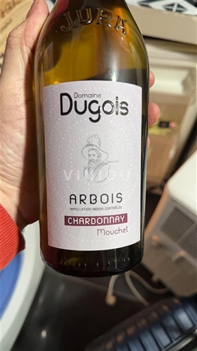 Jura Arbois Domaine Gois 2019