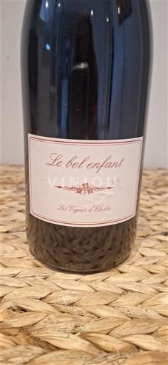 Roussillon Côtes-du-roussillon-villages Les Vignes d'Elodie Le bel enfant 2010