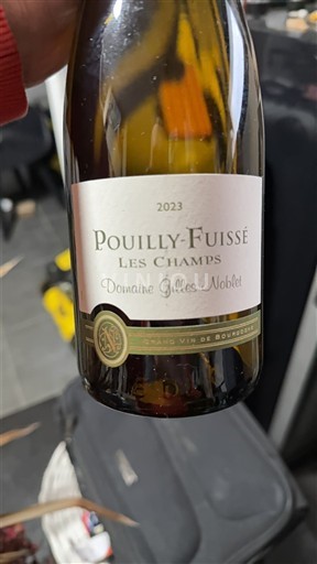 Bourgogne Pouilly-fuissé Domaine Gilles Noblet Les Champs 2023