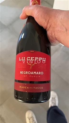 Puglia Không được chỉ định Masca del Tacco Lu Ceppu 2021