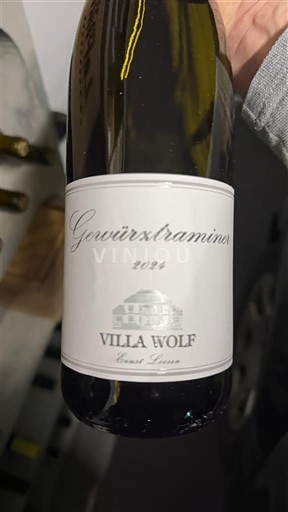 Palatinat Pfalška Villa Wolf 2021