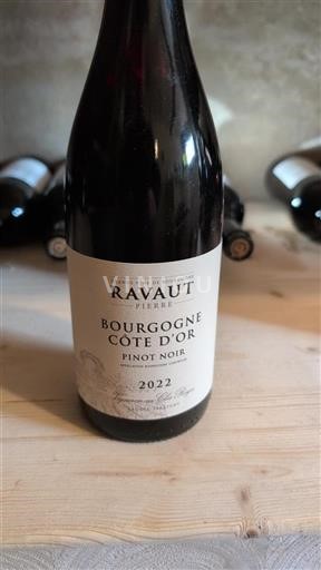Burgundy Burgundy Côte d'Or Ravaut Pierre Pinot Noir 2022