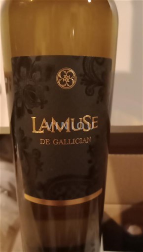 Valle del Rodano Costières di Nîmes Gallician La Muse Senza annata