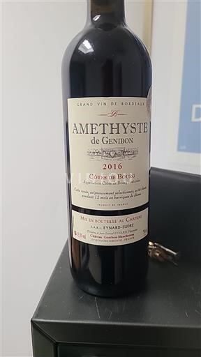Bordeaux Côtes-de-bourg Château Genibon Améthyste 2016