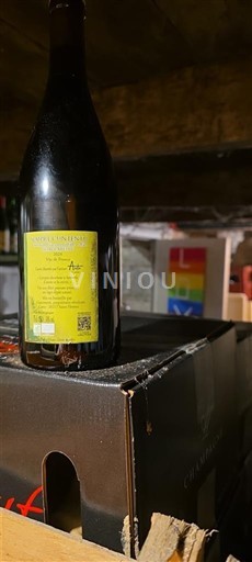 Corse Domaine S Amphores Les 7 Lieux 2020