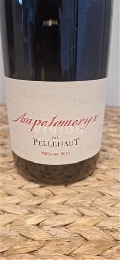 Tây Nam Côtes de Gascogne Domaine Pellehaut Ampelomeryx 2019