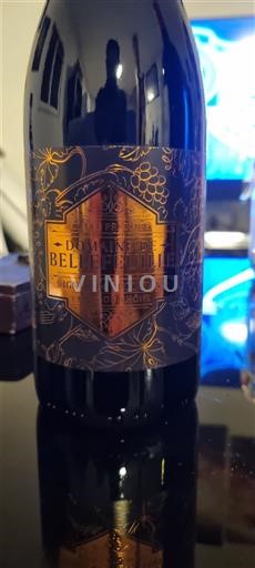 Valle della Loira Saumur Domaine Belle Feuille 2023