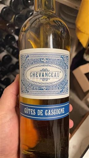 Sudoeste Côtes de Gascogne Chevangeau 2017