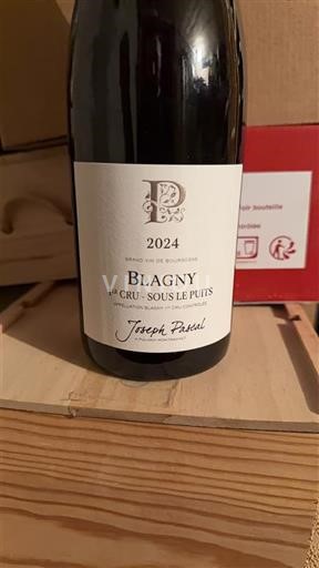 Borgogna Blagny Premier Cru Joseph Pascal Blagny 1er Cru - Sous le Puits 2024