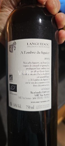 Languedoc Mas Saint-Joseph A l'ombre du figuier 2023