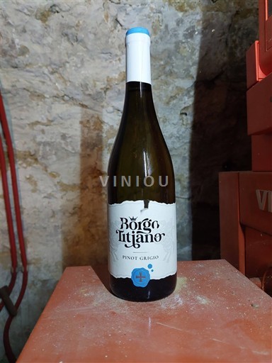 Valle d'Aosta Pinot Gris Borgo Tuilano 2024