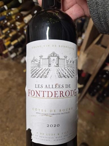 Bordeaux Côtes-de-bourg Fontderode Les Allées de Fontderode 2020