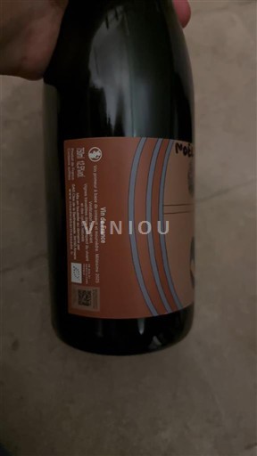 Valle del Rodano Non specificato Vin de france Coude foudre 2025