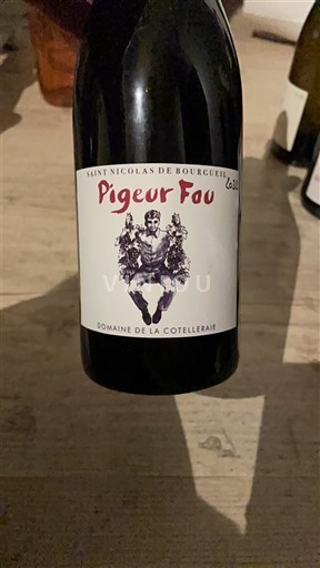 Thung lũng sông Loire Saint-Nicolas-De-Bourgueil Domaine La Cotelleraie Pigueur Fou 2022