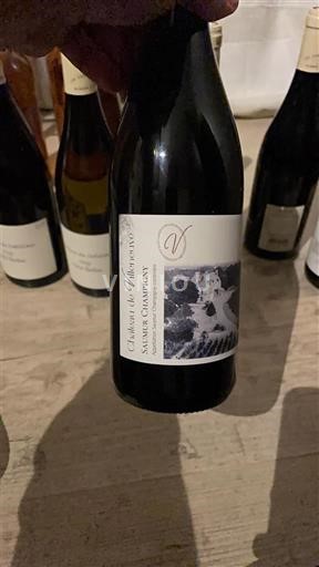 Thung lũng sông Loire Saumur-champigny Domaine Villeneuve 2023