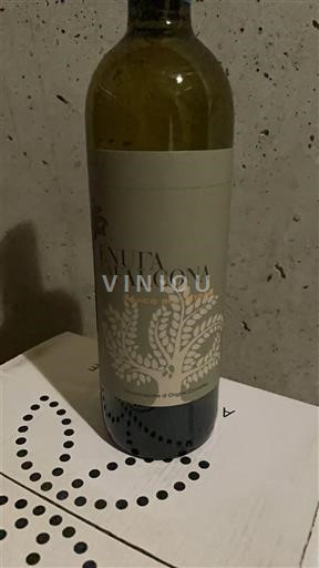 Toscane Niet gespecificeerd Tenuta di Falcona 2024