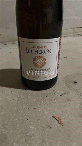 Burgund Mâcon und Mâcon-Dörfer Domaine Bicheron 2023