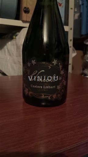 Champagne Casters-Liebart Vincent Ikke årgangsbestemt
