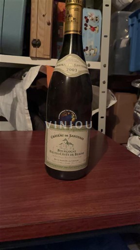 Bourgogne Santenay Château Santenay 2009