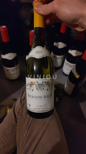 Bourgogne Bourgogne-aligoté Les Petits Fils de Benoit Lafont 2021