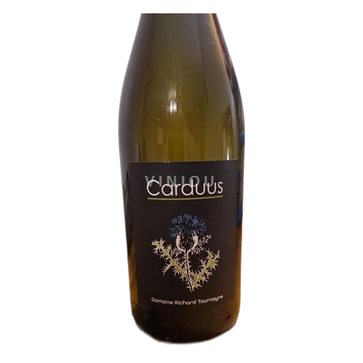 Thung lũng sông Loire Puy-de-Dôme Richard Tournayre Carduus 2024